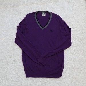 Express Purple V Neck Long Sleeve Sweater Men Size XL